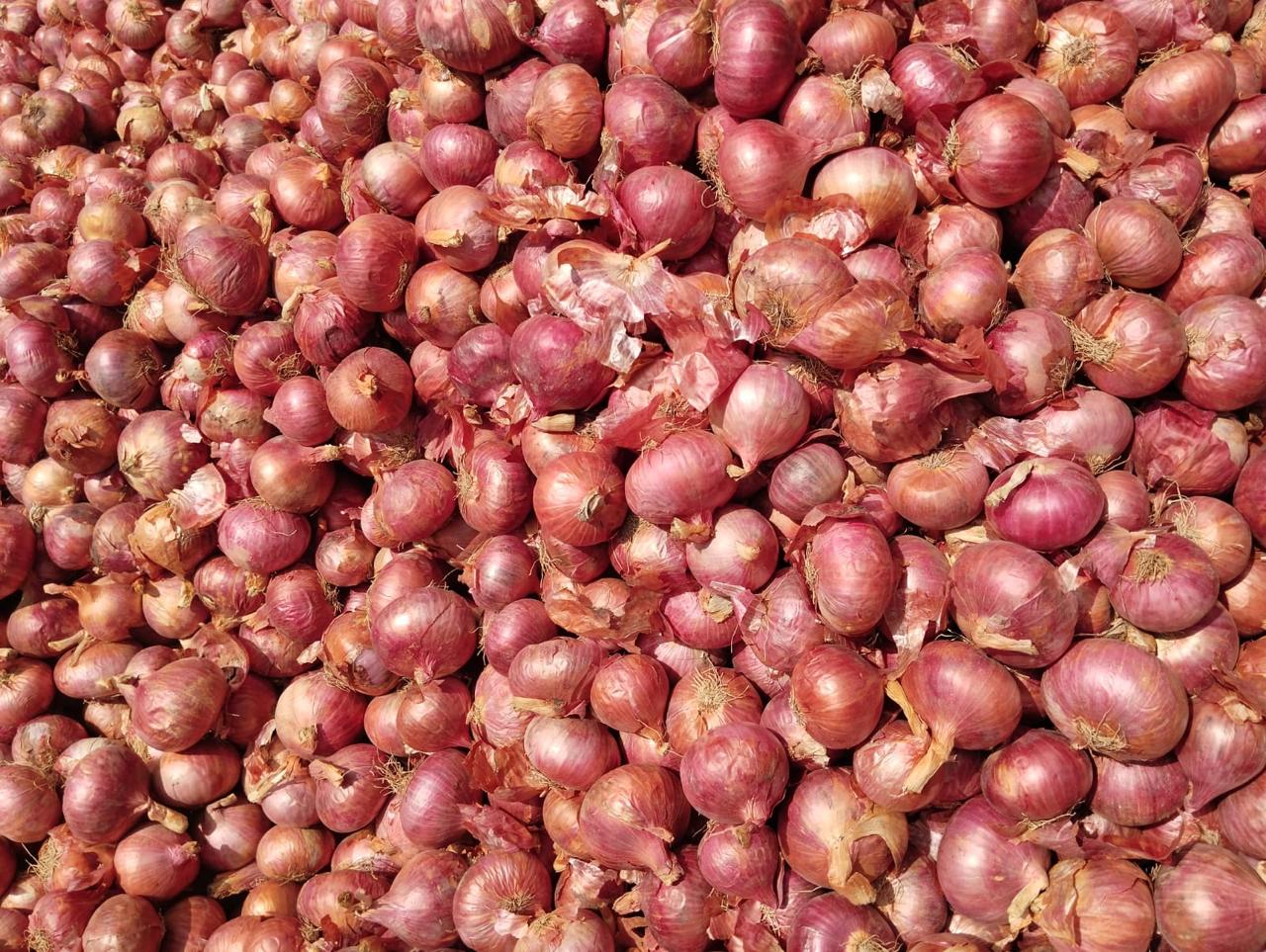 WhatsApp Image 2025-06-03 at 7.24.23 PM.jpeg